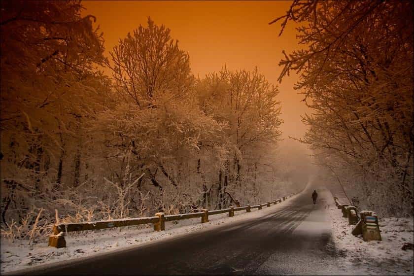 10 Amazing Winter Photographs